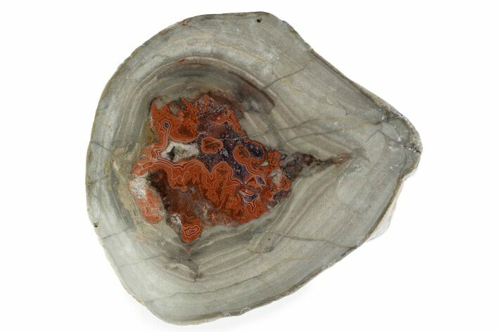 Polished Devil's Red Agate - TeePee Canyon, South Dakota #373404